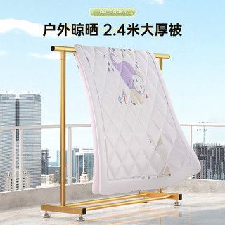 密林轻奢晾衣架落地室内简易晾衣杆挂衣晒衣架晒被子卧室收纳置衣架 1米金色 带垫脚