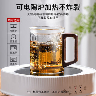 TiaNXI 天喜 茶杯玻璃杯茶水分离泡茶杯水杯女生办公室轻奢级 观山.透明色500ml-胡桃木把