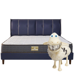 Serta 舒达 布朗B 偏硬护脊床垫 1.5m