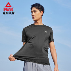 PEAK 匹克 男款休闲T恤 DF632501