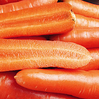 乡语小吖 山东胡萝卜9斤 新鲜蔬菜 现挖胡萝卜 沙地萝卜 生吃脆甜 生鲜