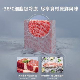 海尔（Haier）冰柜商用大容量零下38度超低温深冷速冻卧式冷冻柜冷藏冷冻单温转换一级能效冷柜