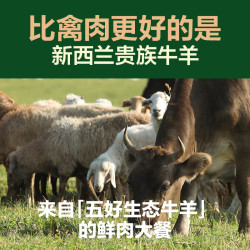 网易天成 红肉盛宴全价猫粮7.2kg红肉牛肉幼猫无谷猫咪