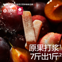 BabyPantry 光合星球 babycare光合星球西梅水果条棒无添加开胃儿童健康零食