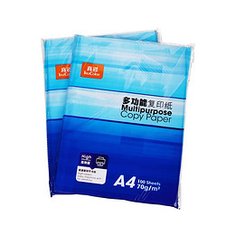 truecolor 真彩 a4打印纸70克复印纸办公打印白纸 A4/70克/试用装/蓝色款