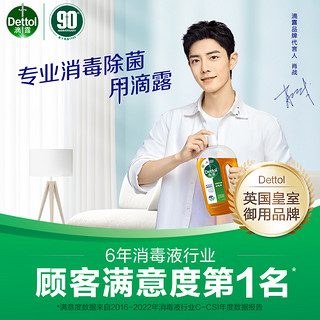 Dettol 滴露 消毒液1.8L*2家用杀菌家居衣物除菌