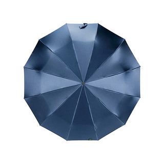 SAIVEINA赛维纳全自动雨伞大号加固加厚结实抗风防水折叠伞男女晴雨两用 紫色