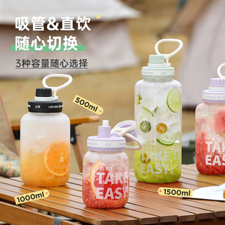 RELEA 物生物 高硼硅玻璃杯水杯杯子女士吸管杯耐高温茶杯 芋泥紫 1L