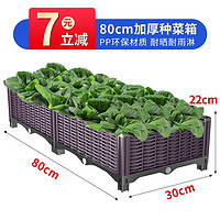 冲鸭农场 蔬菜种植箱 80cm长二联箱
