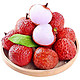 水果蔬菜  当季新鲜白糖罂荔枝  带枝4.7斤（单果10-25g）