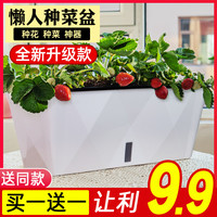 菜园兄弟 室内懒人花盆自吸水免浇水培种菜盆专用箱长方形绿箩阳台长条塑料
