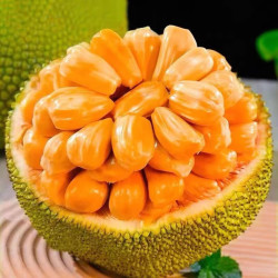 百果捞铺子 泰国进口8号红肉菠萝蜜 14-16斤