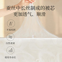 YANXUAN 网易严选 悦享A类抗菌大提花100%蚕丝被