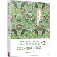 小鸟二三事