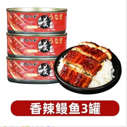 aerdi 阿尔帝  日式鳗鱼罐头爽口香辣100g*10罐