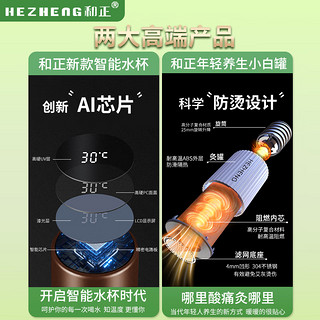 和正艾健康礼盒 送家人送朋友佳节好礼送爸妈送长辈健康精致礼品送老人生日过节过年爱心礼物实用贴心 艾健康礼盒四（艾灸罐*3+保温杯）