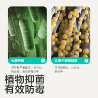 KUB可优比婴儿洗澡盆可折叠宝宝浴盆新生儿童大洗澡 感温浴盆+买就送浴网