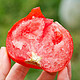 粤云山 山东普罗旺斯西红柿 4.5斤(单果约100g)