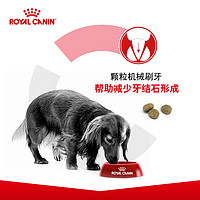 ROYAL CANIN 皇家 狗粮CC成犬粮8kg比熊拉布拉多金毛泰迪通用型大型小型犬全犬