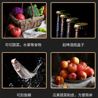 PLYS 派莱斯 不锈钢甘蔗削皮刀苹果削皮器水果去皮土豆 鱼鳞刨厨房多功能用具 甘蔗削皮刀