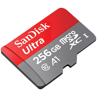 SanDisk 闪迪 至尊高速 SDXC存储卡 256GB（USH-1、A1、C10）