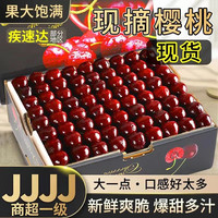 闻度鲜山东樱桃美早大樱桃子28-38mm新鲜孕妇水果整箱 4J大樱桃礼盒装(单果32-34mm) 5斤装
