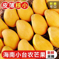 酷果汇海南小台农芒果新鲜现摘热带水果直发小台芒整箱 9斤小果