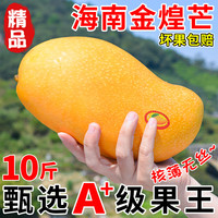 鲜其正宗海南金煌芒新鲜特大9斤芒果甜心芒当季热带水果超甜现货先发 甄选金煌芒 9斤 单果400g+(净重9斤)