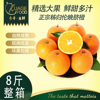 鲜其正宗湖北秭归伦晚脐橙8斤整箱天新鲜水果现摘甜橙直发 伦晚甜橙8斤装75mm大果