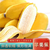 酷果汇香蕉苹果蕉新鲜小香蕉 5斤