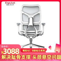 ErgoJust爱高佳精英A8高背人体工学椅电脑网椅久坐舒适学习办公书房座椅 灰+脚拖（高背进口网）