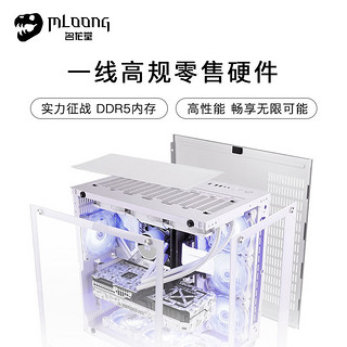 名龙堂i7 13700F/4070显卡台式组装电脑主机diy家用办公游戏吃鸡电竞直播全套整机设计渲染 标准版 i7 12700F/4070 12G 单主机