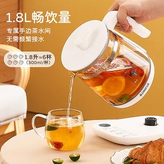 志高养生壶多功能家用小型办公室煮果茶玻璃电热奶不沾烧水壶2384