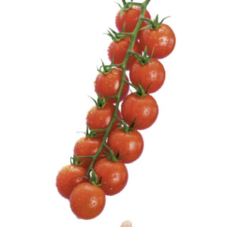 一颗大串番茄樱桃小番茄西红柿198g/盒自然熟新鲜蔬菜顺丰 1件 一颗大串番茄198g*4盒