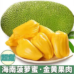 海南黄肉菠萝蜜整个 15-19斤
