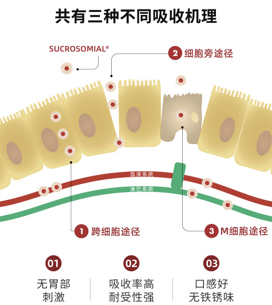 SiderAL 维生素补铁胶囊 1盒