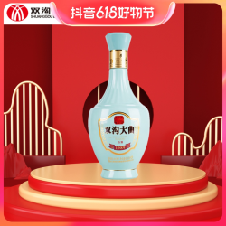 双沟双沟大曲 1989两瓶装 浓香型 纯粮酿造42度200ml