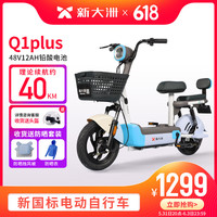 PALLA 新大洲 新国标电动车自行车学生时尚电瓶车小型代步车派乐Q1Plus48V12A