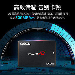 GeIL 金邦 plus会员A3系列 SATA3.0 SSD固态硬盘 1TB