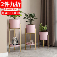 索尔诺(SuoErnuo)轻奢多层铁艺花架室内客厅绿萝花架子阳台多肉吊兰落地花盆置物架 大号双层粉