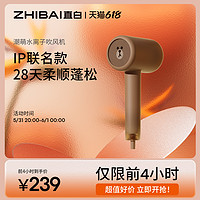 ZHIBAI 直白 HL610 电吹风