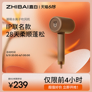 ZHIBAI 直白 HL610 电吹风