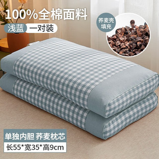 南极人（NanJiren）荞麦枕头睡眠深度颈椎枕一对可拆洗全棉全荞麦壳枕芯宿舍成人枕头 全棉浅蓝35*55cm一对装
