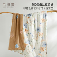 太湖雪100%蚕丝被夏凉被薄款空调被夏季单人可机洗可水洗被子预售