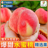 水果时光 水蜜桃毛桃大桃子孕妇水果当季净重3.1斤8.7斤山西新鲜现摘脆甜