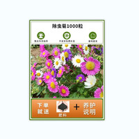 独步寻花除虫菊种子驱蚊草驱虫菊花多年生混色花种籽子四季播种室内外植物 除虫菊1000粒