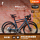 SPECIALIZED 闪电 ALLEZ E5 DISC SPORT碳纤维前叉公路自行车