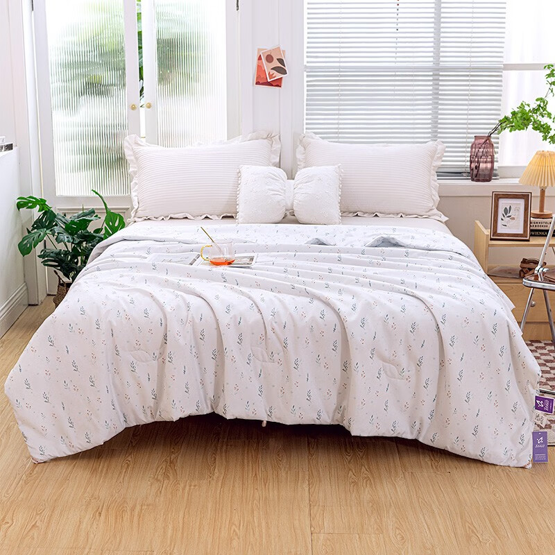 BRAVO 馨而乐 印花空调被 152*210cm