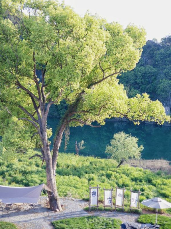 暑假不加价!山野之间!婺源明训别院·在山野Villa 时树·双床房2晚连住+双早+露营帐篷+山野下午茶+特色粉蒸鱼