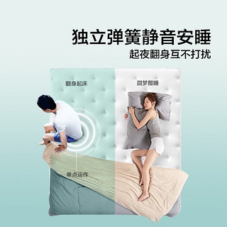 LINSY 林氏睡眠天然乳胶床垫压缩卷包软硬椰棕垫家用席梦思弹簧木业家居 少年护脊E款-21CM厚 1.5米*2米-CD200款